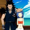 Levy and Gajeel (Fairy Tail) on Random Cutest Anime Couples