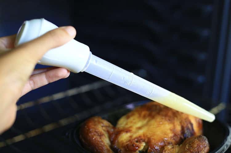 Turkey baster meaning