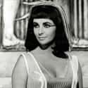Cleopatra Was Probably No Elizabeth Taylor in the Looks Department on Random Fascinating Facts About Cleopatra, the Last Queen of Egypt