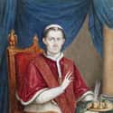 Pope Leo XII Slept With The Wife Of A Swiss Guard And Fathered At Least Three Children on Random Popes Who Didn't Take Celibacy Very Seriously