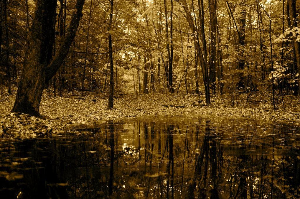 South Dakota Urban Legends & Creepy Stories That Will Haunt You