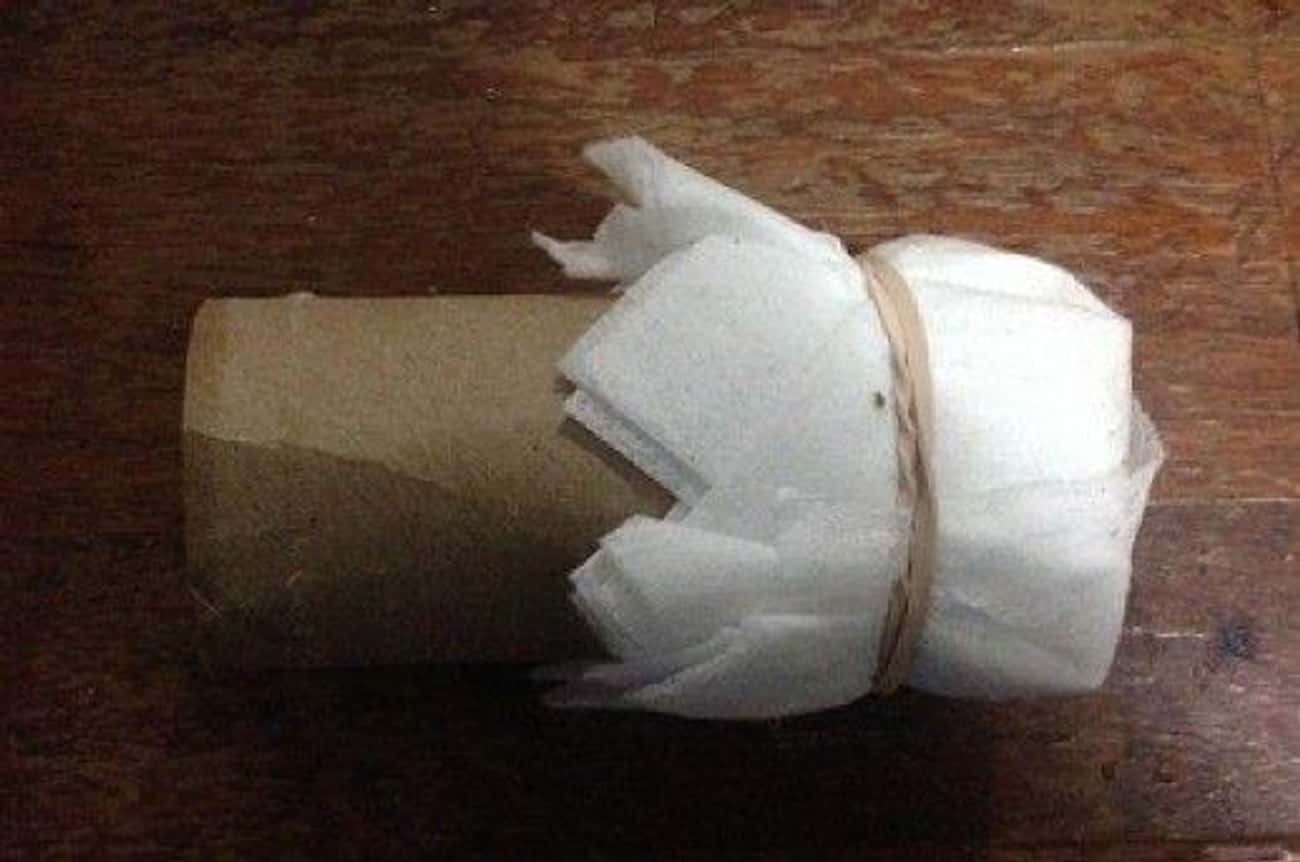 Make A Filter From A Toilet Paper Roll, Dryer Sheets, And A Paper Towel