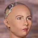 Throw a Wig on Her and Nobody'd Know the Difference on Random Seriously Disturbing Human Creations from Uncanny Valley