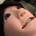Dentistry Training Head or Robotic Sleeper Agent? on Random Seriously Disturbing Human Creations from Uncanny Valley