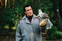 He Tells Dubious Tales About His Past on Random Ludicrous Stories About Steven Seagal
