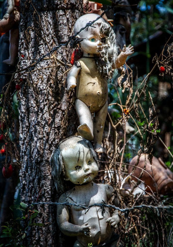 Остров кукол в мексике фото Остров кукол назвали самым страшным туристическим местом в мире Навіны горада