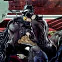 Batman And Catwoman, 'Catwoman #1' on Random Most Graphic Hook-Up Scenes in DC Comics History