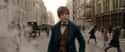 As a Film, Fantastic Beasts Was an Accident on Random Huge Things Everybody Learned About Harry Potter AFTER The Books
