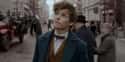 Newton Artemis Fido “Newt” Scamander Is a Hufflepuff on Random Huge Things Everybody Learned About Harry Potter AFTER The Books
