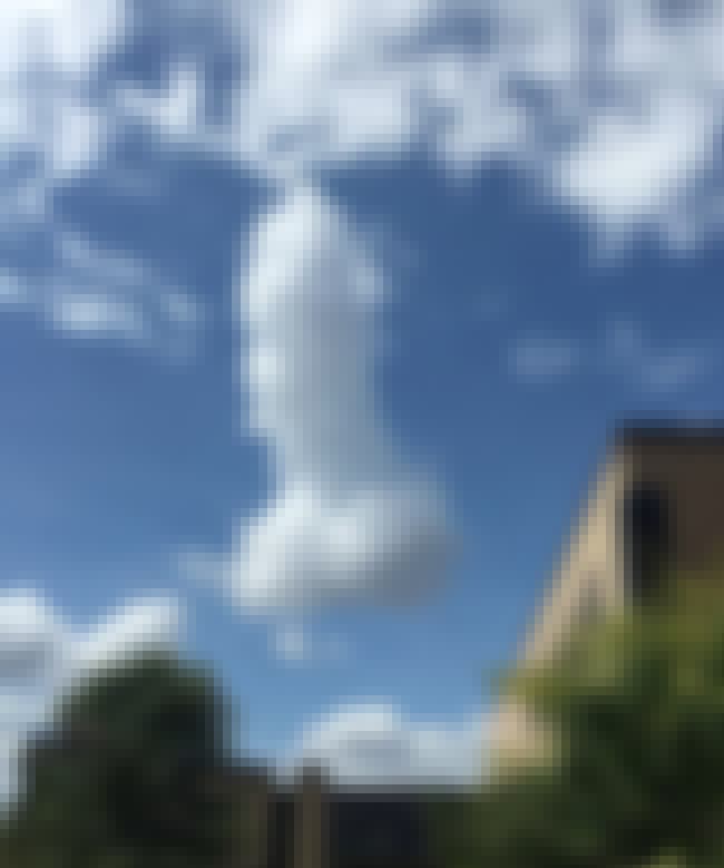 22 Clouds That Undeniably Look Like Penises