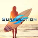 SurfSection.com on Random Best Surf Gear Websites