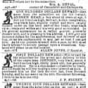 More Than One Ran Away on Random Shocking Escaped Slave Ads From the 19th-Century