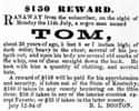 He Had Whip Marks on His Back on Random Shocking Escaped Slave Ads From the 19th-Century