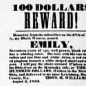 She Had a Whining Voice on Random Shocking Escaped Slave Ads From the 19th-Century