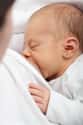 Breastfeeding While Under the Influence Is Harmful on Random Things of Drinkings or Taking Drugs While Pregnant Actually Does to Babies