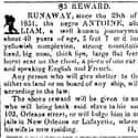 This Escaped Journeyman Baker Had a Piece of His Ear Bitten Off on Random Shocking Escaped Slave Ads From the 19th-Century
