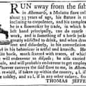 This Escaped Slave Belonged to Thomas Jefferson on Random Shocking Escaped Slave Ads From the 19th-Century