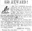 His Slave Name Was Nimrod on Random Shocking Escaped Slave Ads From the 19th-Century