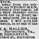 $200 Made for a Pretty Large Reward at the Time on Random Shocking Escaped Slave Ads From the 19th-Century