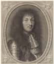 Louis XIV Had A Lot Of Friends And Enemas on Random Bizarre Obsessions Of Royals In History