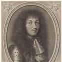 Louis XIV Had A Lot Of Friends And Enemas on Random Bizarre Obsessions Of Royals In History