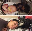 Lay Down, Good Boys on Random Adorable Before-And-After Photos Of Dogs Growing Up With Their Humans