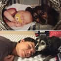 Lay Down, Good Boys on Random Adorable Before-And-After Photos Of Dogs Growing Up With Their Humans