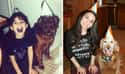 Party Girls on Random Adorable Before-And-After Photos Of Dogs Growing Up With Their Humans
