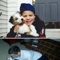 Endless Love on Random Adorable Before-And-After Photos Of Dogs Growing Up With Their Humans