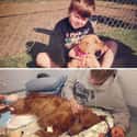 Okay, Now I'm Crying on Random Adorable Before-And-After Photos Of Dogs Growing Up With Their Humans
