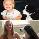 Dogs Always Make You Smile on Random Adorable Before-And-After Photos Of Dogs Growing Up With Their Humans