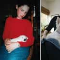 Lap Dog on Random Adorable Before-And-After Photos Of Dogs Growing Up With Their Humans