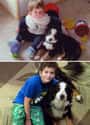 Floored By Cuteness on Random Adorable Before-And-After Photos Of Dogs Growing Up With Their Humans