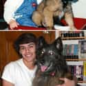 BFFs For Ever on Random Adorable Before-And-After Photos Of Dogs Growing Up With Their Humans