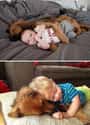 Cuddle Buddies For Life on Random Adorable Before-And-After Photos Of Dogs Growing Up With Their Humans