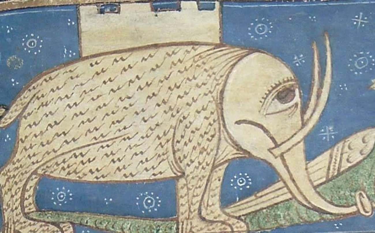 Средневековый Бестиарий иллюстрации