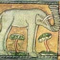 An Elephant, Jacob van Maerlant, c. 1350 on Random Hilariously Wrong Historical Depictions of Animals