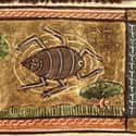 A Spider, Jacob van Maerlant, c. 1350 on Random Hilariously Wrong Historical Depictions of Animals