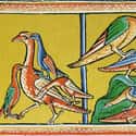 Pelicans, Unknown Artist, Early 13th Century on Random Hilariously Wrong Historical Depictions of Animals