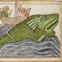 A Whale, Unknown Artist, 13th Century on Random Hilariously Wrong Historical Depictions of Animals