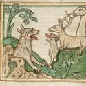 A Panther Emerging From A Cave, Unknown Artist, 13th Century on Random Hilariously Wrong Historical Depictions of Animals