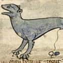A Lynx, Unknown Artist, 13th Century on Random Hilariously Wrong Historical Depictions of Animals