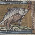 A Hippopotamus, Jacob van Maerlant, c. 1350 on Random Hilariously Wrong Historical Depictions of Animals