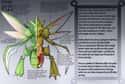 Scyther on Random Pieces of Hyper-Detailed Pokemon Anatomy Fan Art