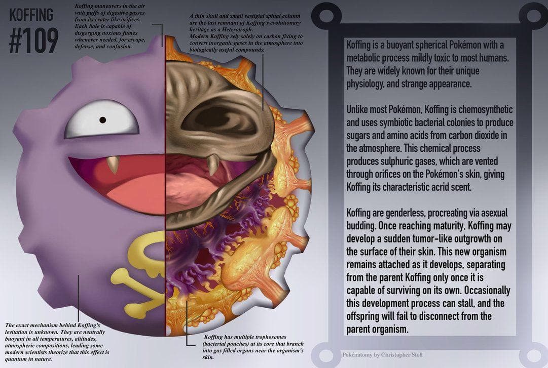Random Pieces of Hyper-Detailed Pokemon Anatomy Fan Art