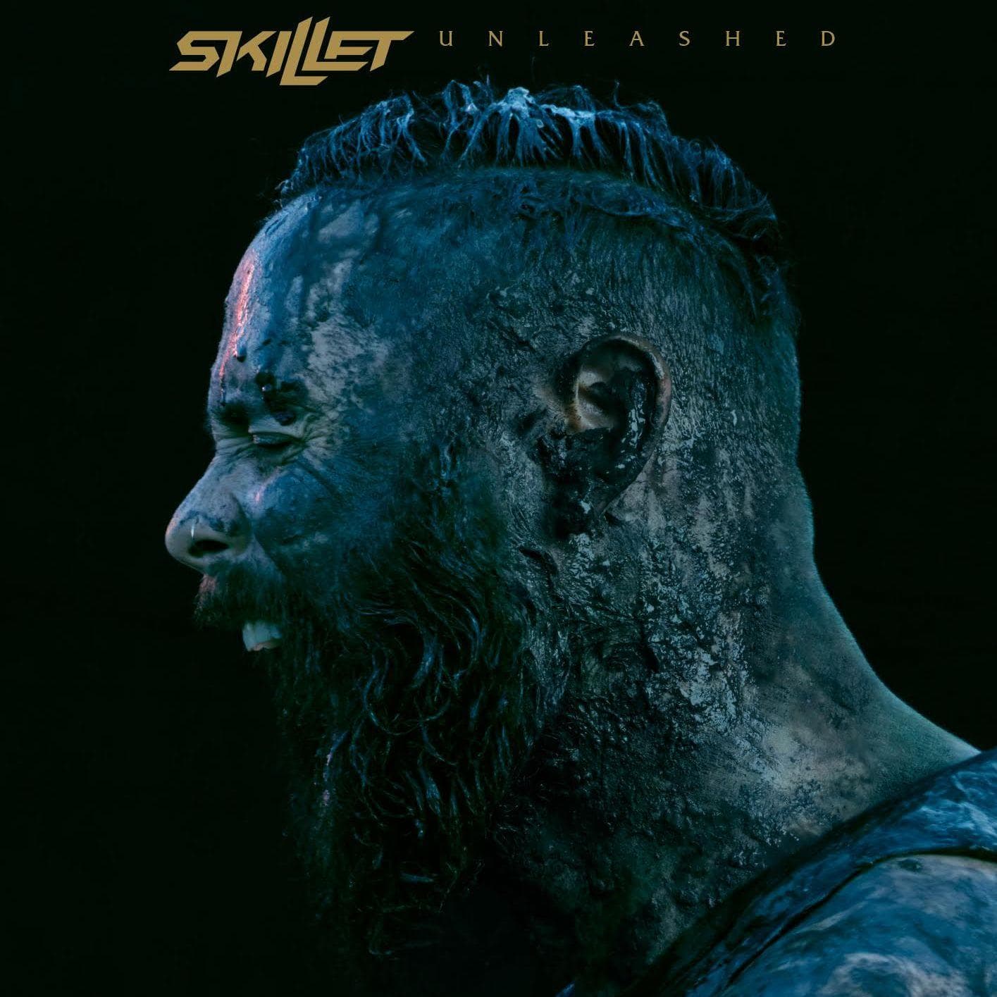 List of All Top Skillet Albums, Ranked