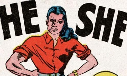 He she для детей. She can he may. Who is he she. Him cd. She can he may.