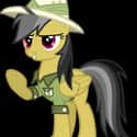 Daring Do on Random Best My Little Pony: Friendship Is Magic Characters