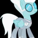 Fleetfoot on Random Best My Little Pony: Friendship Is Magic Characters