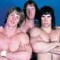 The Von Erichs is listed (or ranked) 36 on the list The Best Tag Teams In WWE History